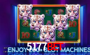 APP oficial da 5177bet para mobile