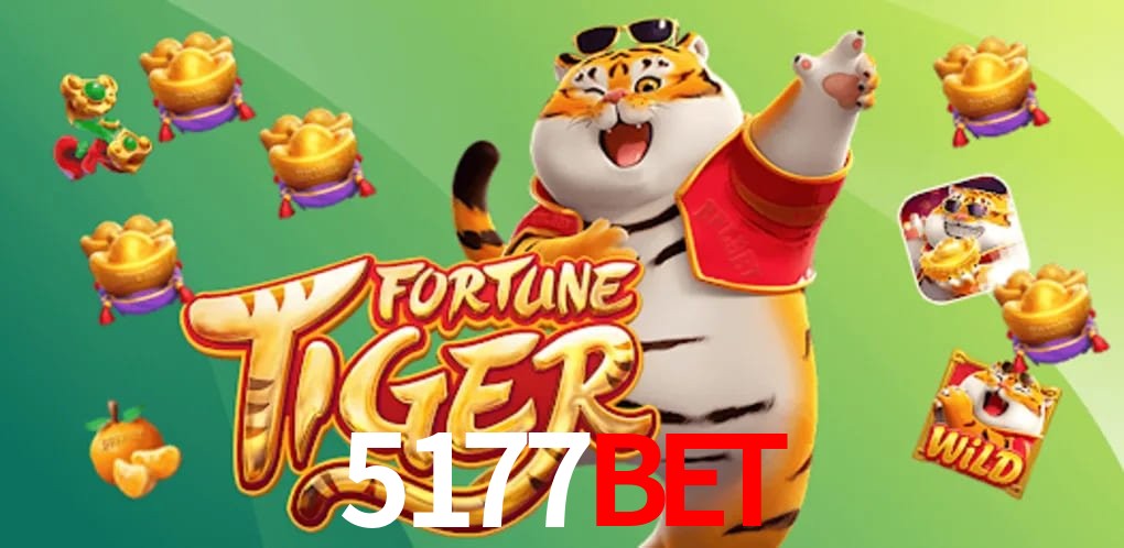 Experiência VIP 5177bet